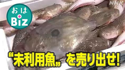 好魚排行榜|吃魚補腦、增強保護力！營養師激推「Top10好魚」 魚。